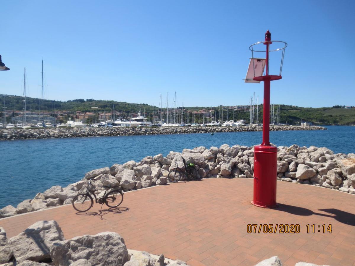 Apartments Vila Marija 伊佐拉 外观 照片
